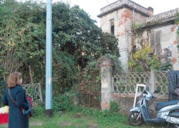 Pasted Graphic 14 1 350x250